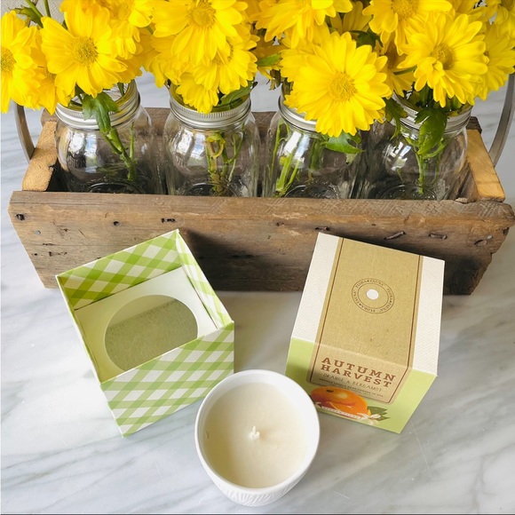 Anthropologie•NIB•Flora & Fauna•Hand-Poured Soy Wax Candle•9oz•Orange+Bergamot - Picture 3 of 16